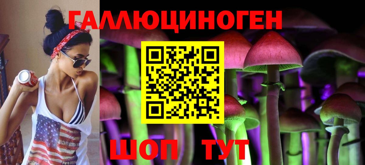 Псилоцибиновые грибы Psilocybe Мценск