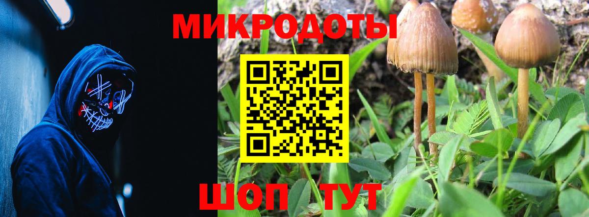 Псилоцибиновые грибы Magic Shrooms  Вход с VPN  Псилоцибиновые грибы ЛСД  Мценск 